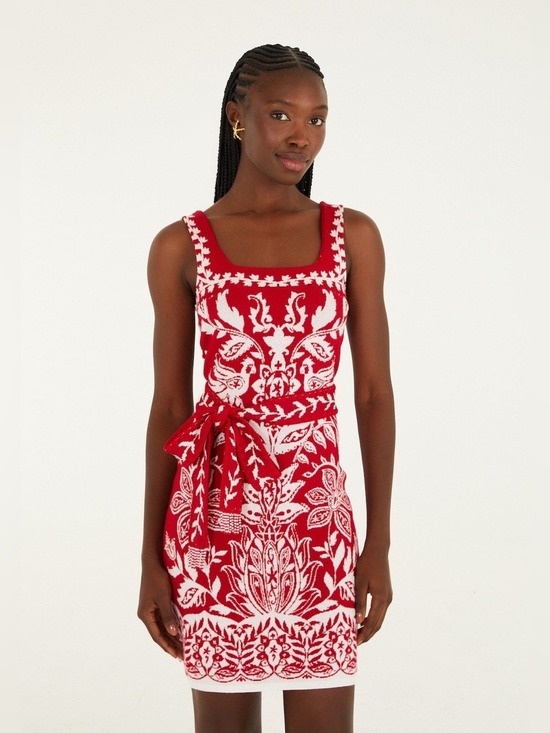 FARM Rio Dresses & Skirts - Farm Rio Red Miranda Knit Mini Dress